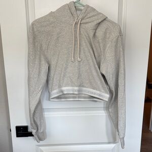 Calvin Klein Light Gray Cropped Sweatshirt